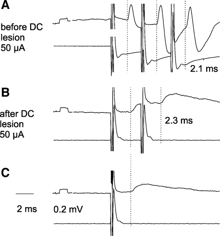 Fig. 6.