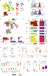 Figure 3. A, Uniform manifold approximation and projection (UMAP) of KNF and KPP integration colored by cell type annotation summarized in Supplementary Table S5 (left) and by replicate (right). Cells that did not meet quality control thresholds, as determined from individual sample analysis, and cells with no cell type consensus are not plotted. OL, oligodendrocyte. B, Distribution of ssGSEA scores per cell for human tumor signatures in OPC-projected cells of KNF samples (top) and KPP samples (bottom). Signatures were derived from differential expression of bulk RNA-seq data for tumor subtypes (see Methods). N = 34,326 cells in KNF; N = 3,892 cells in KPP. C, UMAP as in A with cells colored by cluster. D, Predominant cell types per cluster of KNF and KPP integration (left), corresponding proportion of each genotype within the cluster (middle), and number of cells per cluster (right). Only cells passing QC and with a cell type consensus are considered. Cell types comprising at least 30% of the cluster are shown. ASTR, astrocyte. E, Proportion of cells per replicate annotated as OPC (left), microglia (middle), and macrophages (right). F, Proportion of cells with detected Mag (left) and Pdgfra (right). G, UMAPs of each replicate from individual sample analysis with cells colored by normalized expression of Myrf (left) and Cspg4 (right). H, Mean inferred TF activity scores (scaled) and percent of cells with activity of TF shown for clusters 0, 7, 10, and 2, with predominant cell types of OPC, proliferating OPC (P-OPC), newly forming oligodendrocytes (NFOL), and mature oligodendrocytes, respectively; cluster number is indicated in parenthesis. Representative TFs with differing activity patterns between genotypes are shown. I, Proportion of cells with detected Ptprc (left) and Ly86 (right). J, Mean expression of DAM signature genes in immune cluster 5, with cells grouped by genotype. P < 2.2e-16.