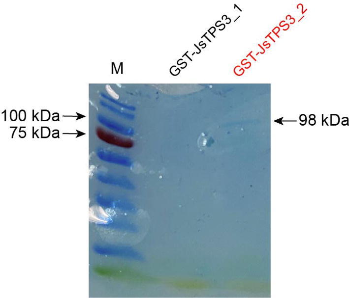 Supplementary Figure S13