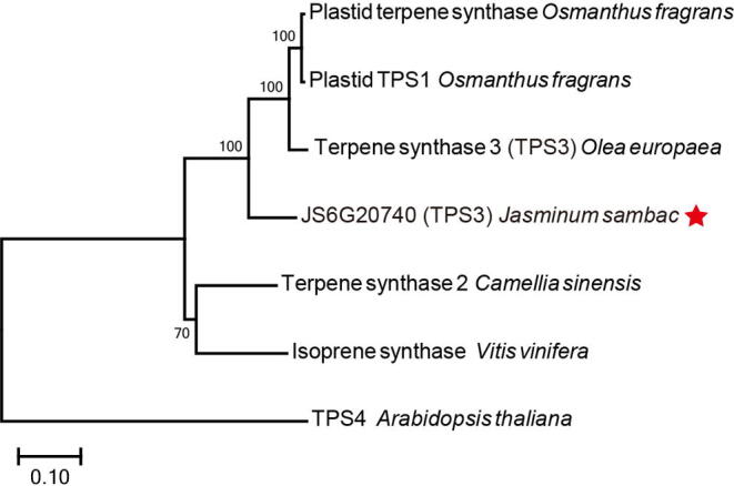 Supplementary Figure S11