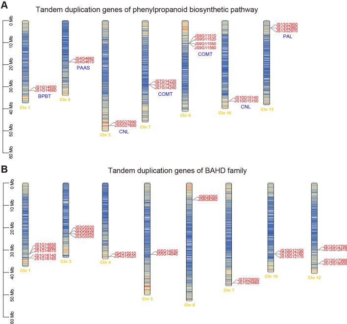 Supplementary Figure S14