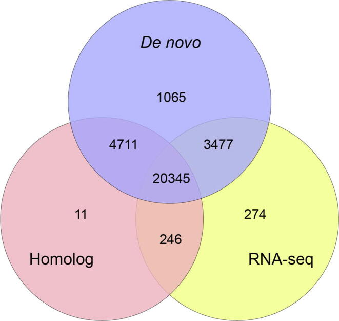 Supplementary Figure S5