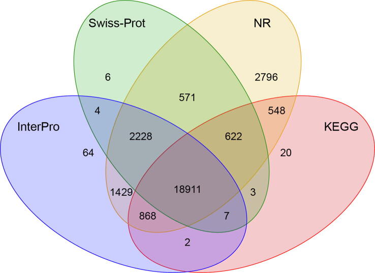 Supplementary Figure S6