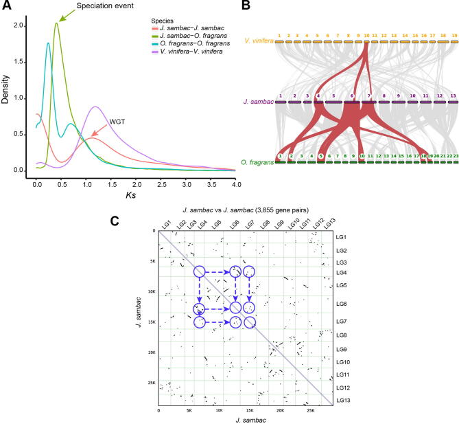 Supplementary Figure S8