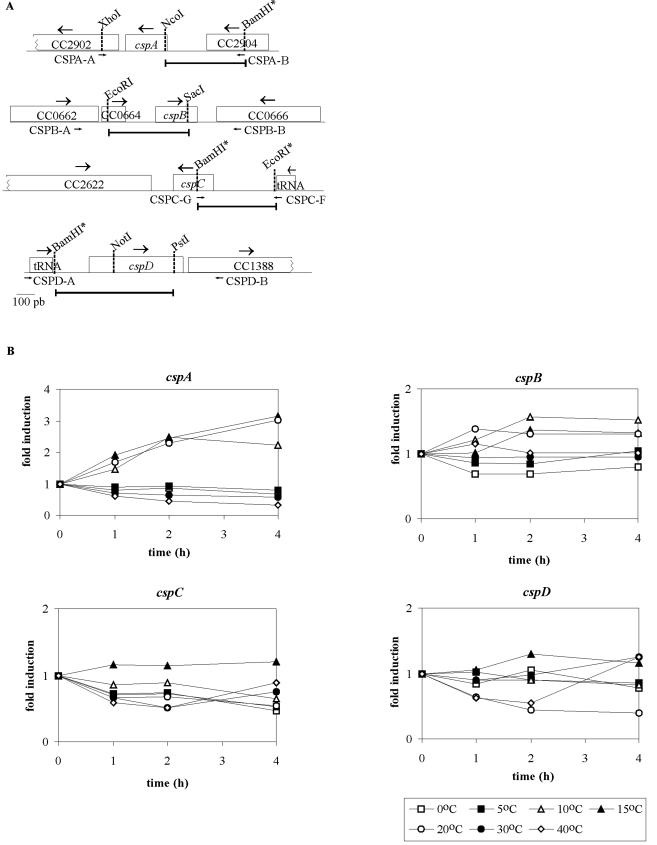 FIG.3.