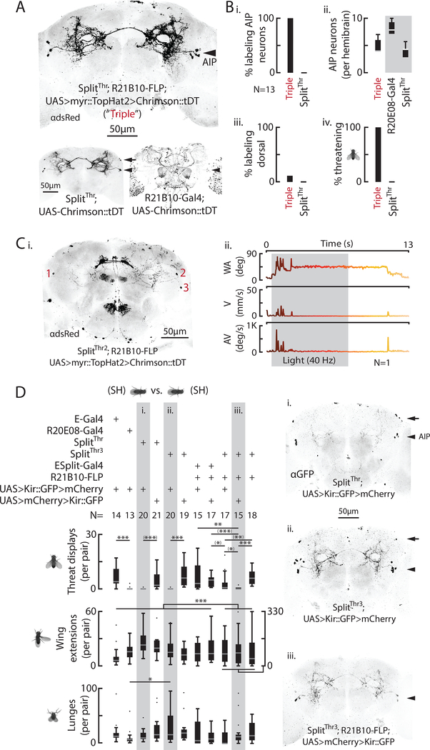 Figure 6: