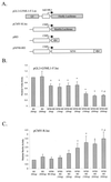 FIG. 2.
