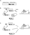 FIG. 8.