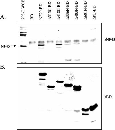 FIG. 7.