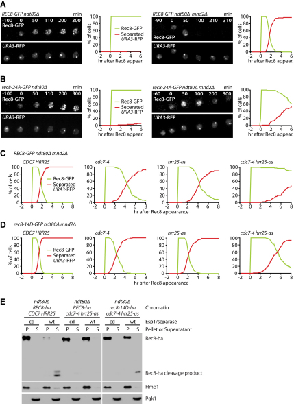 Figure 6