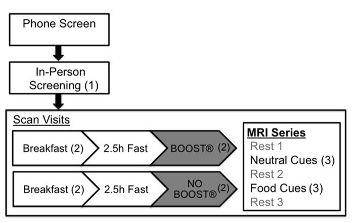 FIGURE 1