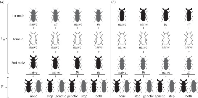 Figure 1.