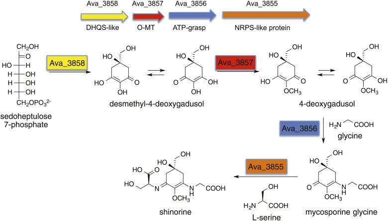 Figure 1—figure supplement 1.