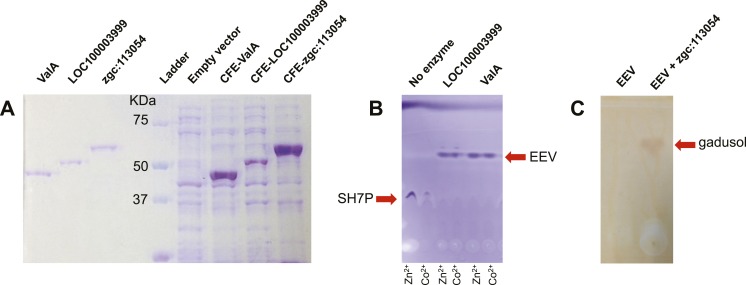 Figure 1—figure supplement 3.