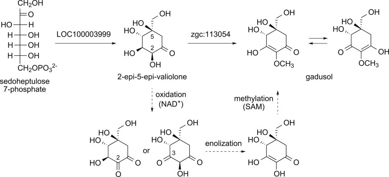 Figure 2—figure supplement 3.