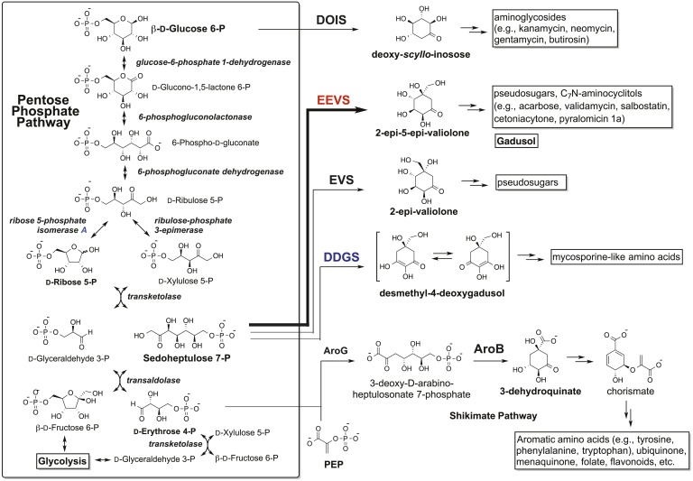 Figure 2—figure supplement 4.