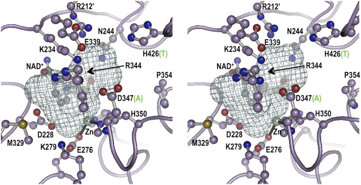 Figure 1—figure supplement 6.