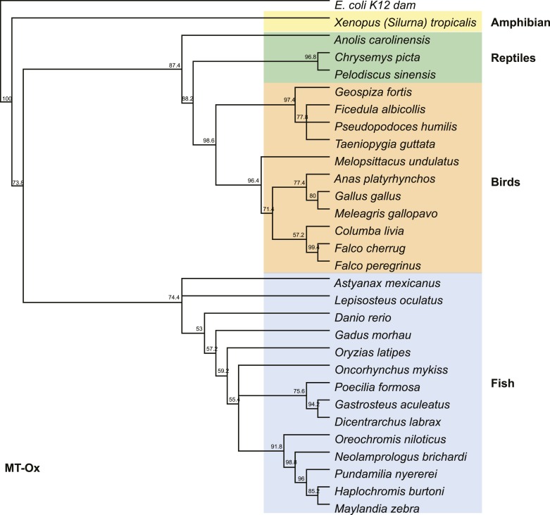 Figure 3—figure supplement 2.