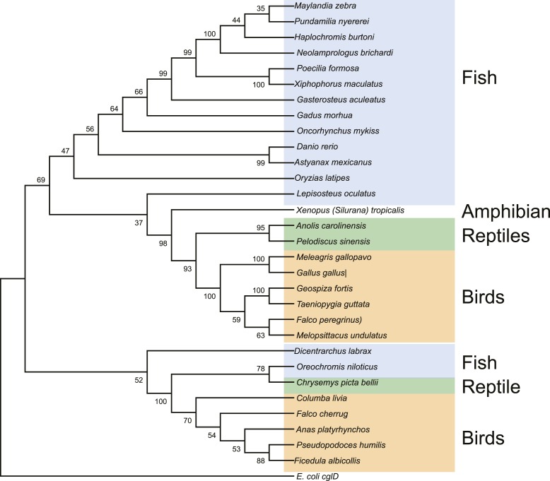 Figure 3—figure supplement 3.