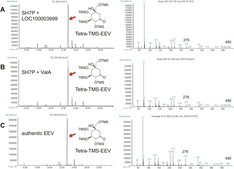 Figure 1—figure supplement 4.