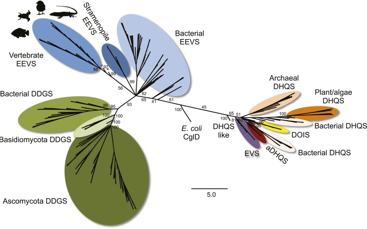 Figure 1—figure supplement 2.