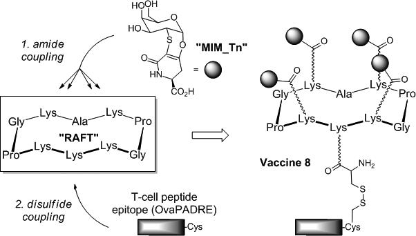 Clustered Tn-Antigen Mimetic-Based Cancer Therapeutic Vaccine Induces ...