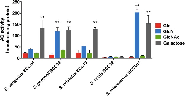 FIG 5