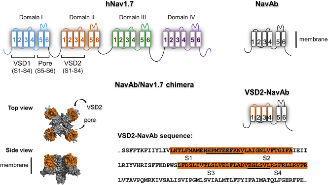 Figure 2