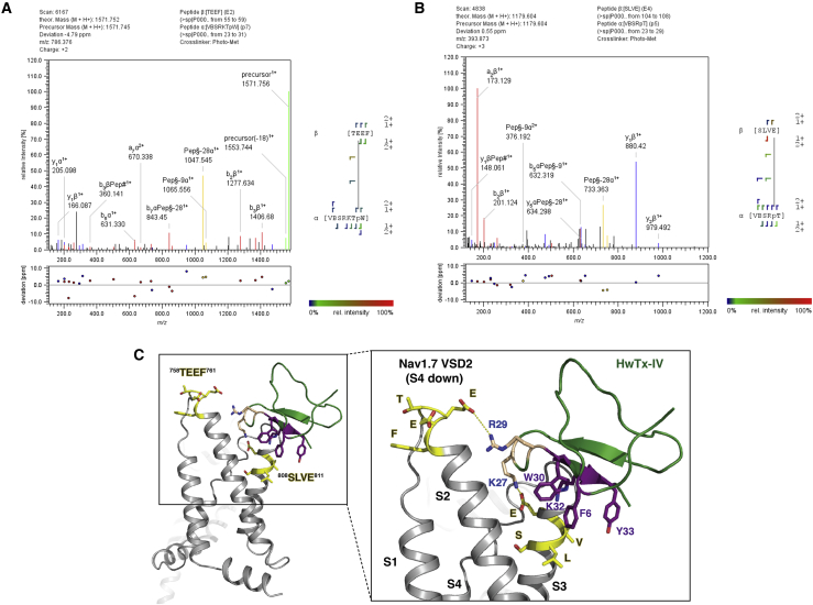 Figure 4