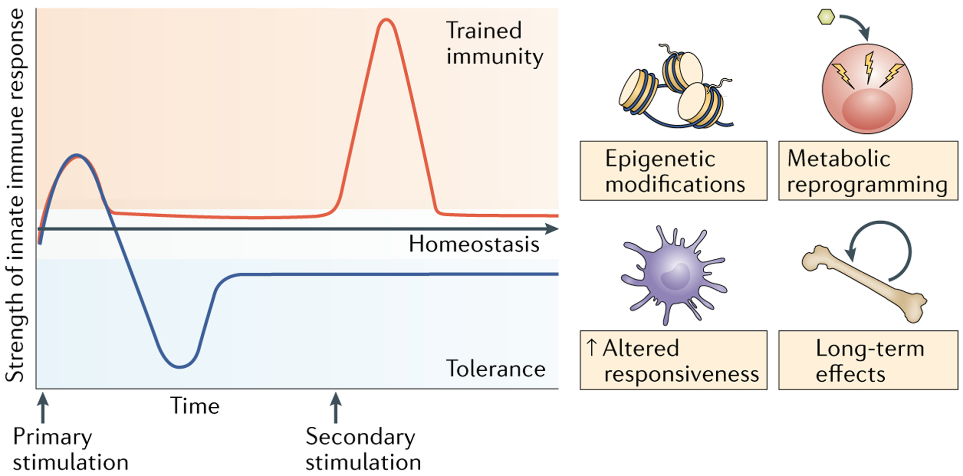 Fig. 1 |