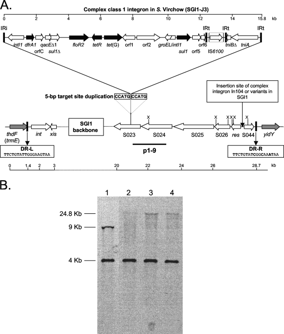 FIG. 1.