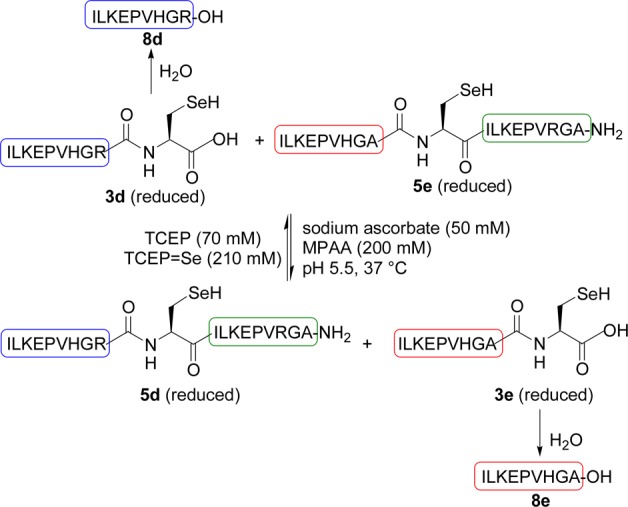 Scheme 5