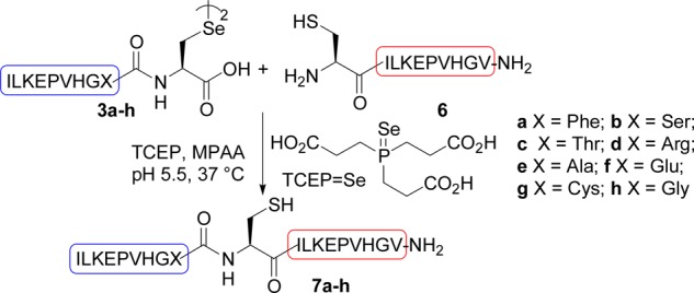 Scheme 3