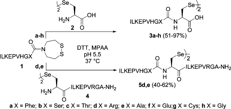 Scheme 2