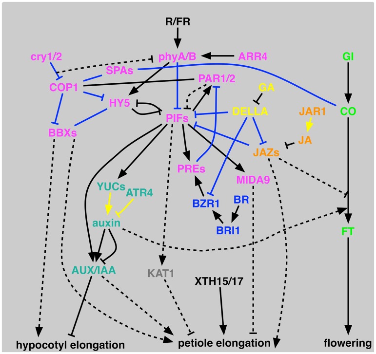 Fig 3