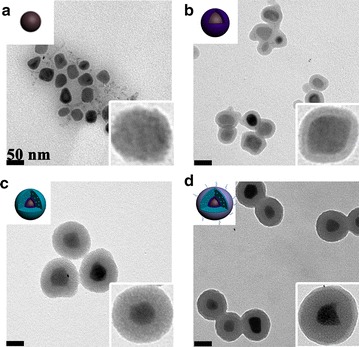 Fig. 1