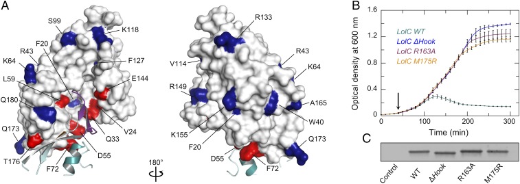 Fig. 6.