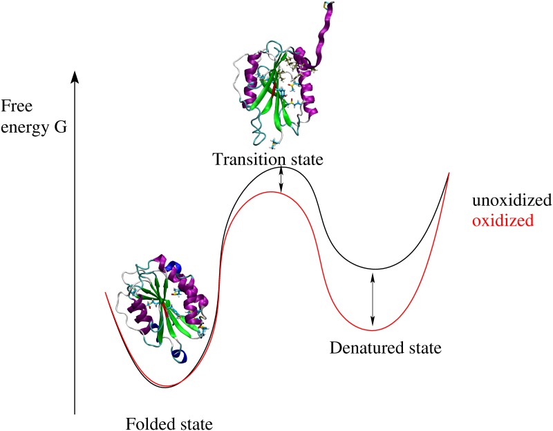 Fig 9