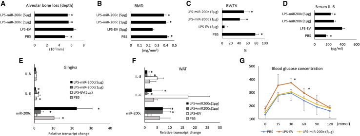 Figure 6