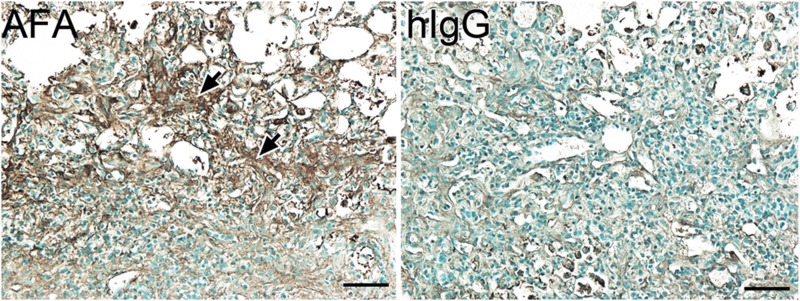 FIG. 6.