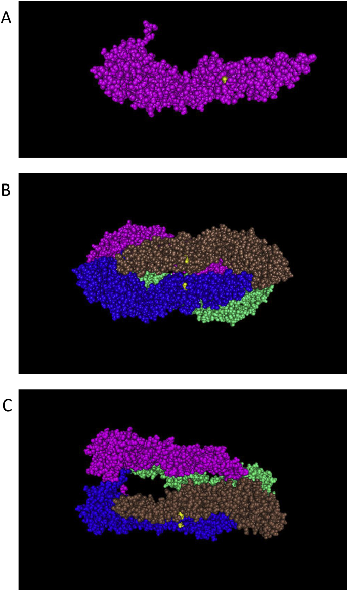 Fig. 6