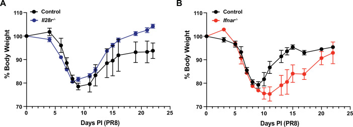 Figure 4—figure supplement 1.