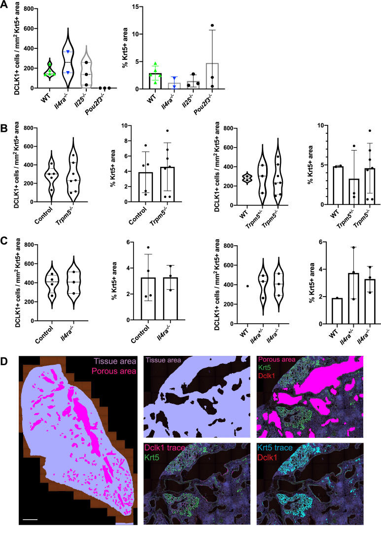 Figure 3—figure supplement 3.