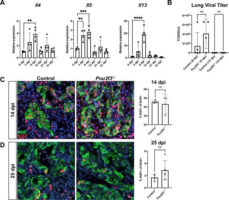 Figure 3—figure supplement 5.