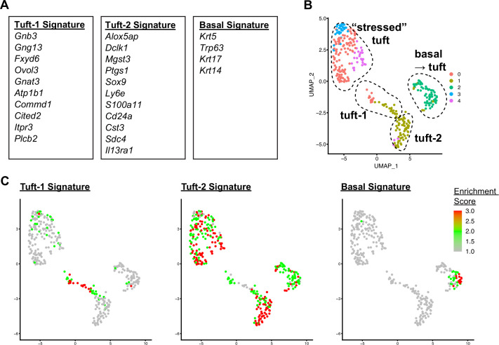 Figure 2—figure supplement 1.