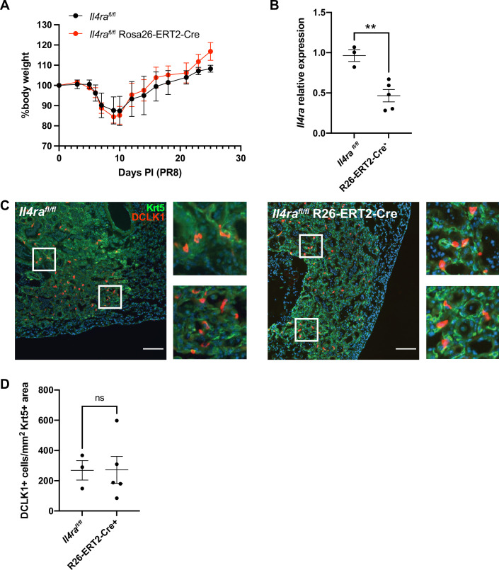 Figure 3—figure supplement 4.