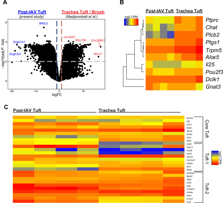 Figure 1—figure supplement 1.