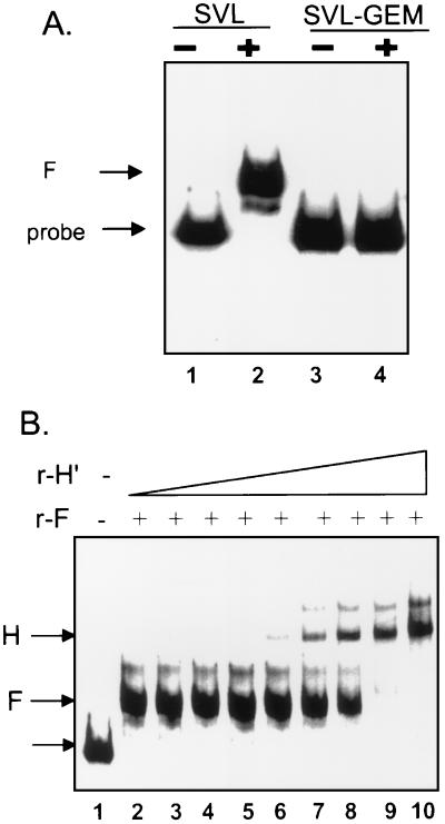 FIG. 7