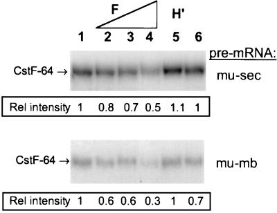 FIG. 8