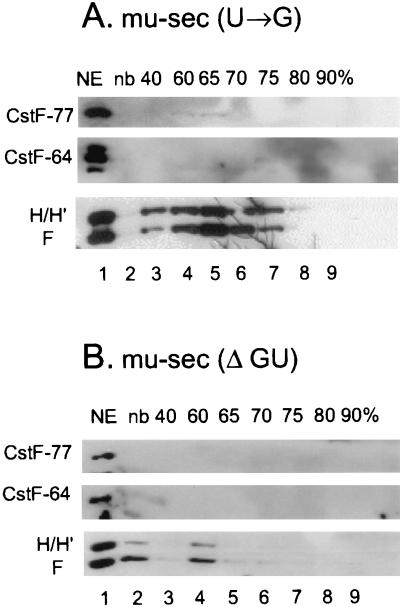 FIG. 5